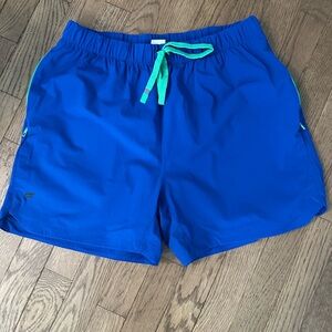 Fabletics One Short 5” Inseam Unlined Large Blue